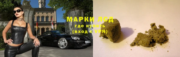 сатива Бугульма