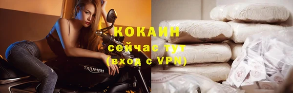 сатива Бугульма