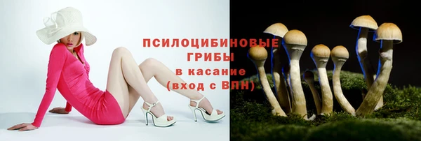 спайс Бородино