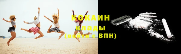 спайс Бородино