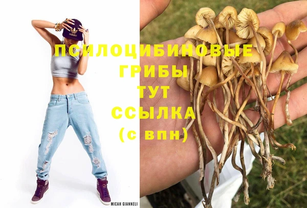 МДПВ Бронницы