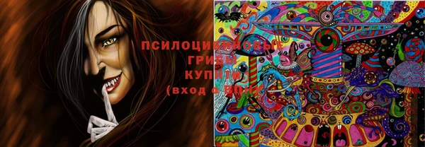 сатива Бугульма