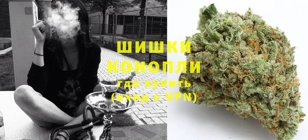 МДПВ Бронницы