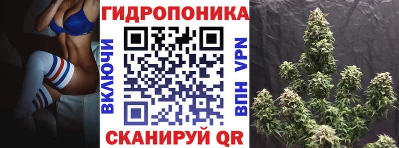 где купить наркотик Ковылкино МЕГА Марихуана ГИДРОПОН
